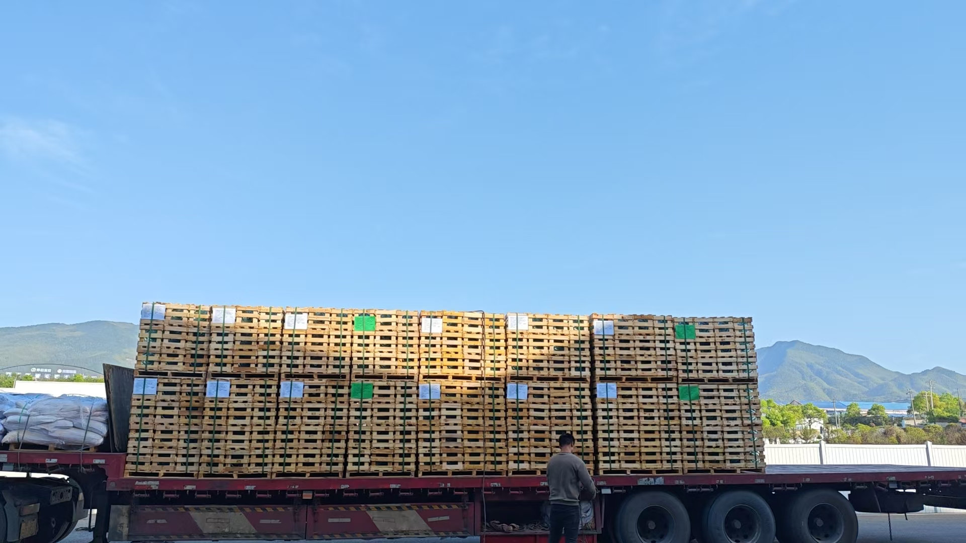 Top Glass Insulator Gains Traction in Vietnam Market